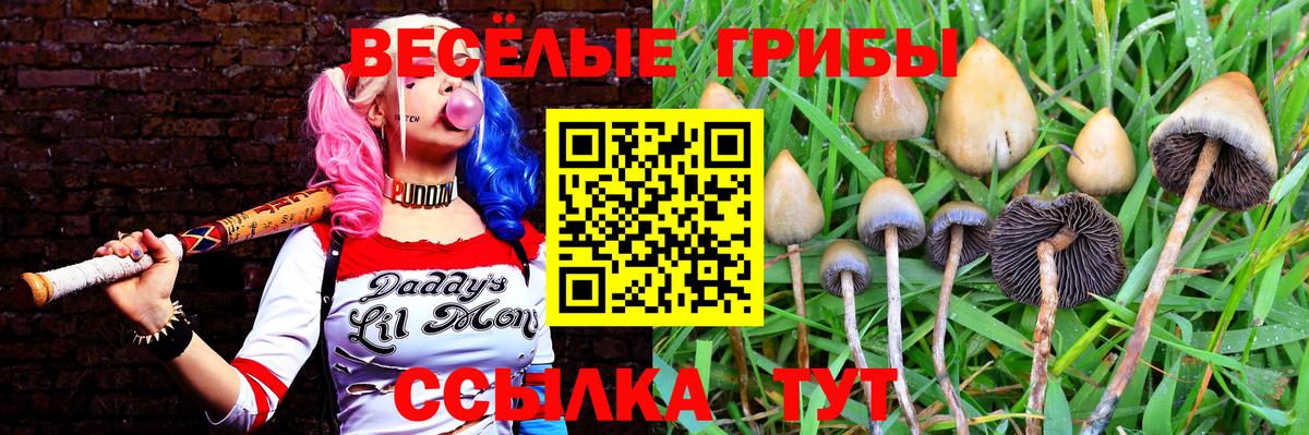 Галлюциногенные грибы мицелий  Вход с VPN  Энгельс 