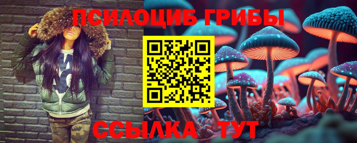 Псилоцибиновые грибы Cubensis Энгельс